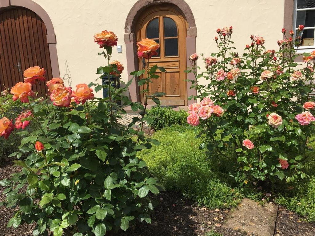 Ferienwohnung In Historischem Bauernhaus In Der Eifel Mettendorf Экстерьер фото